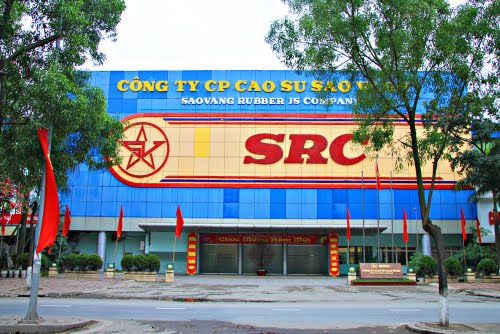 Sau nửa năm chạy đua mua cp SRC, VHG đạt được gì?