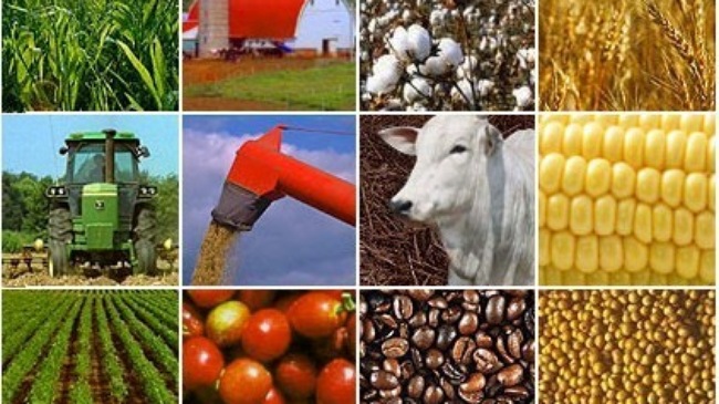 WB - nhà tài trợ lớn nhất cho ngành nông nghiệp Việt Nam