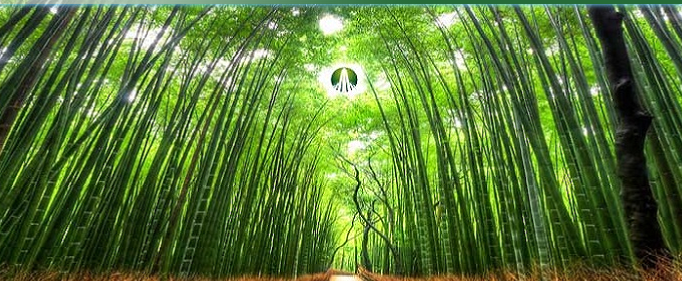 Một cá nhân đã bán thành công 2 triệu cổ phiếu GTN