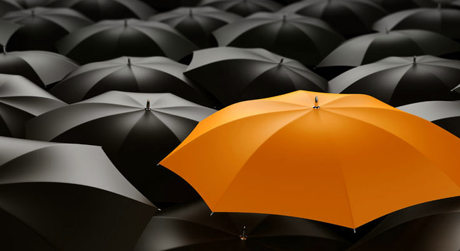  [Chứng khoán 26/11] Một loạt các mã bất động sản tăng vọt về khối lượng 