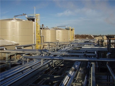 10 gia đình tài phiệt Mỹ sở hữu tài sản hơn 20 tỷ USD 