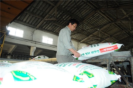 Miễn thuế GTGT cho phân bón: Tưởng được hóa mất!