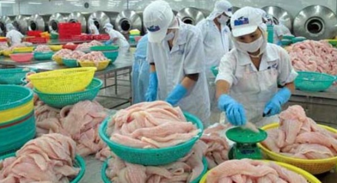  Xuất khẩu thủy sản vượt gần 1 tỉ USD so với kế hoạch 