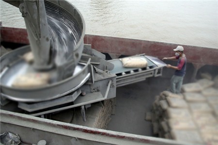 Xuất khẩu xi măng gặp 