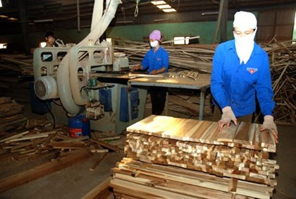 TTF đã phát hành riêng lẻ thành công 26,5 triệu cổ phiếu