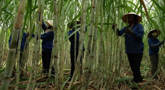 S33: NHS muốn thoái toàn bộ 24,9% vốn