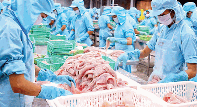  2 ông Dũng với số phận con cá tra 