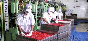 Satra Tây Nam hủy đấu giá IPO vì 'ế'