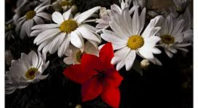  [Chứng khoán 24/12] Lần đầu tiên trong vòng 5 tháng nay, giá trị khớp lệnh trên HSX giảm xuống dưới 1.000 tỷ 