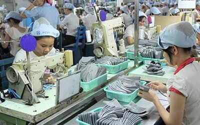 Doanh nhân dự cảm 2015