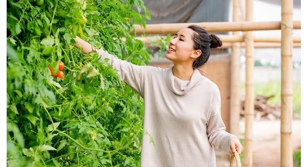 Nữ doanh nhân Việt huy động hơn 100 tỷ đồng từ quỹ ngoại như thế nào?