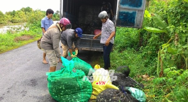 Thu bạc triệu mỗi ngày nhờ rẹm