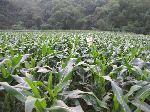 DLG lên kế hoạch phát hành 500 tỷ đồng trái phiếu để cơ cấu lại nợ