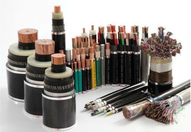 TYA: Gia hạn vay tín dụng 5 triệu USD bổ sung vốn lưu động