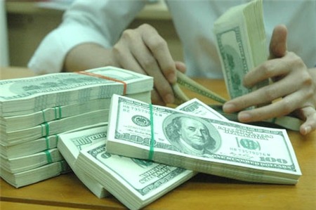 Ngân hàng Nhà nước đã mua lượng lớn ngoại tệ