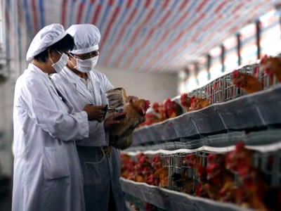 MKV dự kiến phát hành 2,3 triệu cổ phiếu cho cổ đông hiện hữu