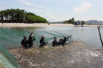 MPC có thủ thế quá đà?