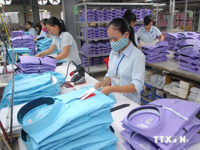 Vinatex và bức tranh 2015