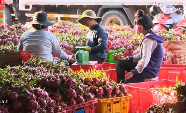 Xuất khẩu nông, lâm, thủy sản sẽ chỉ đạt 95% mục tiêu đề ra trong năm 2015