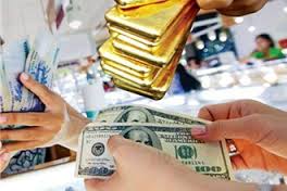 Thiếu biện pháp phòng ngừa tỷ giá biến động