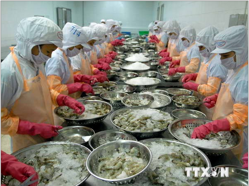 Ngành thủy sản  quý 3: Thắng lớn!