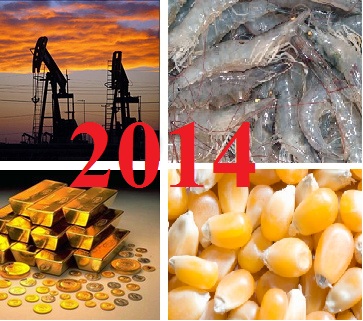 Những sự kiện hàng hóa nổi bật của Việt Nam 2014