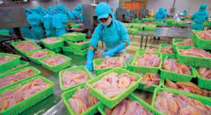 TS4: 12/3 chốt quyền nhận cổ tức năm 2014, tỷ lệ 8%