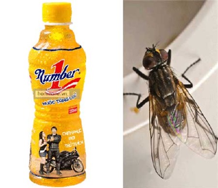 Con ruồi 'ma ám' và lối thoát cho Tân Hiệp Phát