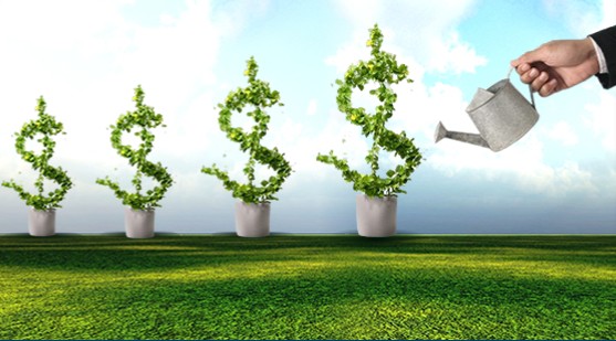 Đốt cháy giai đoạn bằng... margin!