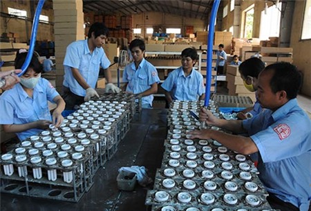 Doanh nghiệp Việt đang nhỏ dần