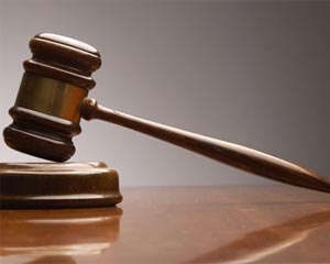 Một tổ chức và hai cá nhân bị phạt tổng cộng 145 triệu đồng