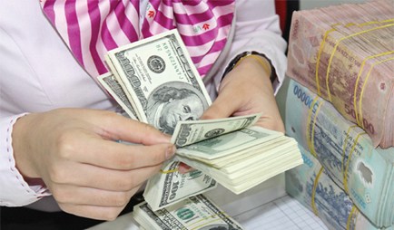 Biến động tỷ giá: Ngân hàng Nhà nước 