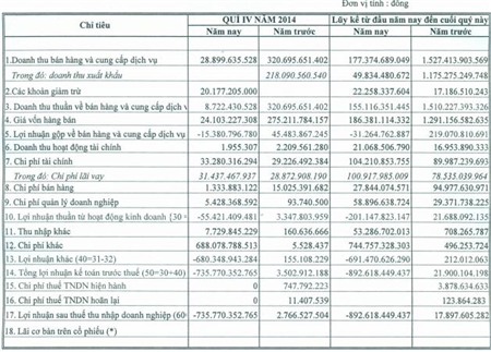 AVF: Quý 4 bất ngờ lỗ 