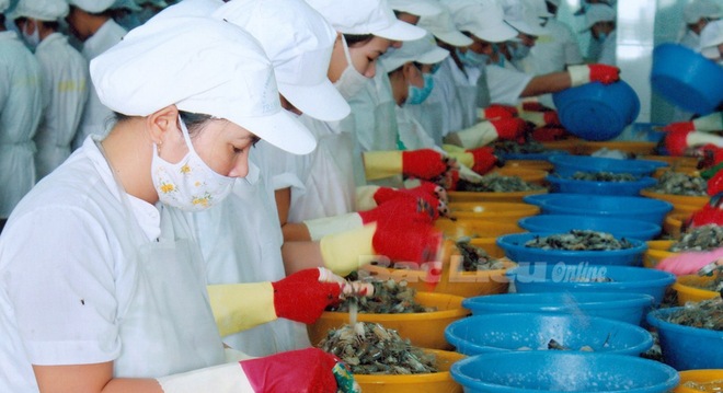  Thủy sản Bạc Liêu chuẩn bị phát hành 50 tỷ trái phiếu chuyển đổi cho các chủ nợ 