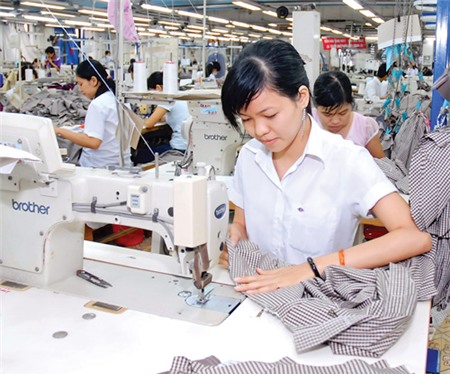 Tiềm năng Sasco và Vinatex bị bỏ qua?