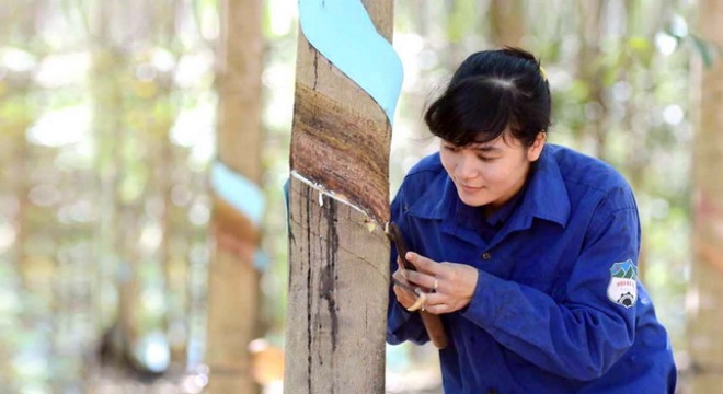  Tuần đầu tháng 12: Khối ngoại bán ròng 242 tỷ đồng HAG 