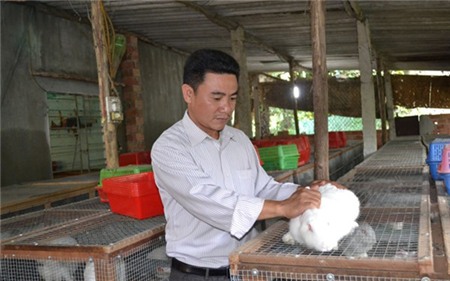 Nuôi thỏ lãi 30 triệu đồng/tháng