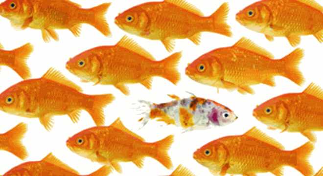  [Chứng khoán 25/11] HOSE giao dịch thỏa thuận đột biến 758 tỷ đồng 