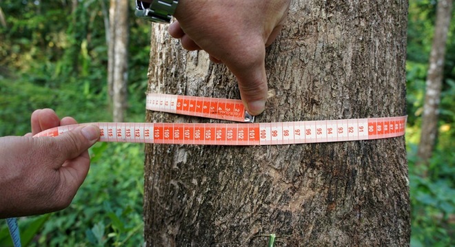  Không đùa với hàng tồn kho! 