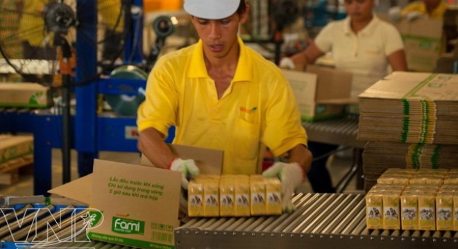  Đường Quảng Ngãi: Lãi ròng 9 tháng đạt 614 tỷ đồng, tăng 25% so với cùng kỳ 