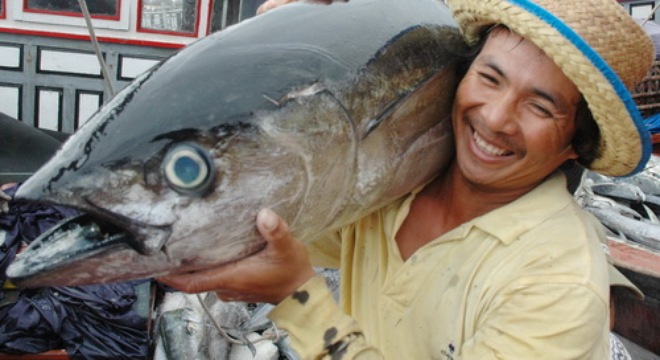  XK thủy sản năm 2014 vượt kế hoạch đến 1 tỷ USD – Kẻ ăn không hết, người lần không ra 