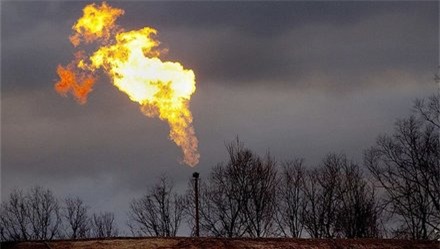 ​Sẽ có nhiều doanh nghiệp thép đóng cửa