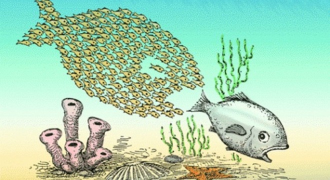 Chứng khoán Hòa Bình: Hơn một nửa công ty rơi vào tay 4 cá nhân trong vòng 1 tháng