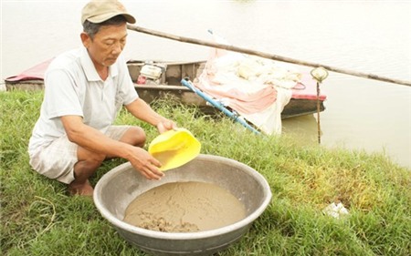Hốt bạc với nghề nuôi trứng nước làm thức ăn cho cá