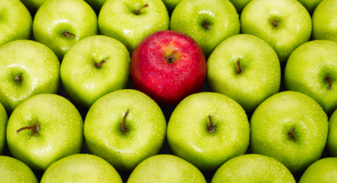  [Nổi bật ngày 10/11] Hụt hẫng nhẹ tại KBC và con số “khủng” của cổ phiếu nóng 