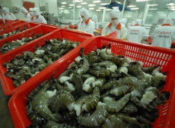 Thắng lợi của con tôm và áp lực giữ tăng trưởng