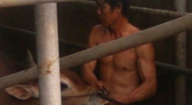  Đồng Nai sẽ ‘khai tử’ 60 lò giết mổ gia súc 