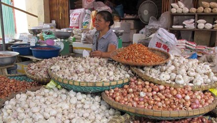 Nông sản Trung Quốc chiếm chợ đầu mối