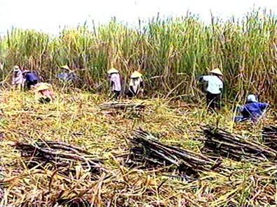 KTS: DATC tiếp tục đăng ký thoái hết 31,72% vốn