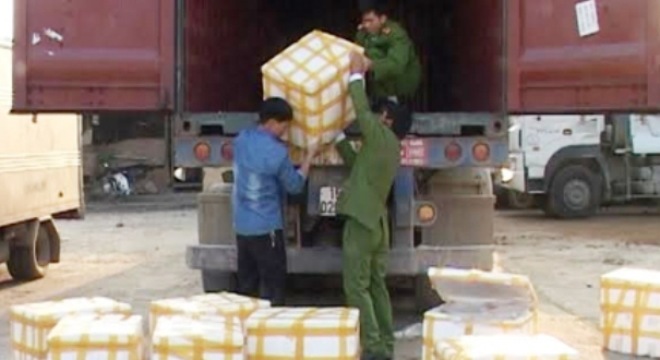  Bắt giữ gần 4 tạ cá nheo lậu Trung Quốc đang trên đường về xuôi 